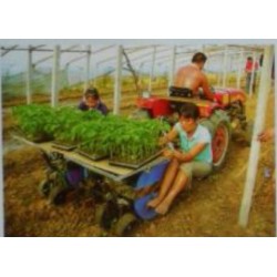 3-BIGDEL Sebze fide dikim makinesi 6 sıralı traktöre takılan model